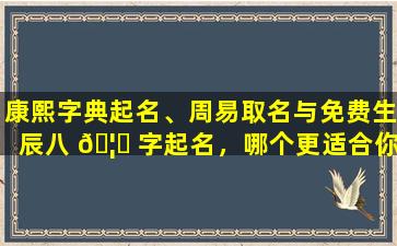 康熙字典起名、周易取名与免费生辰八 🦊 字起名，哪个更适合你